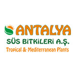 Antalya Süs Bitkileri русский
